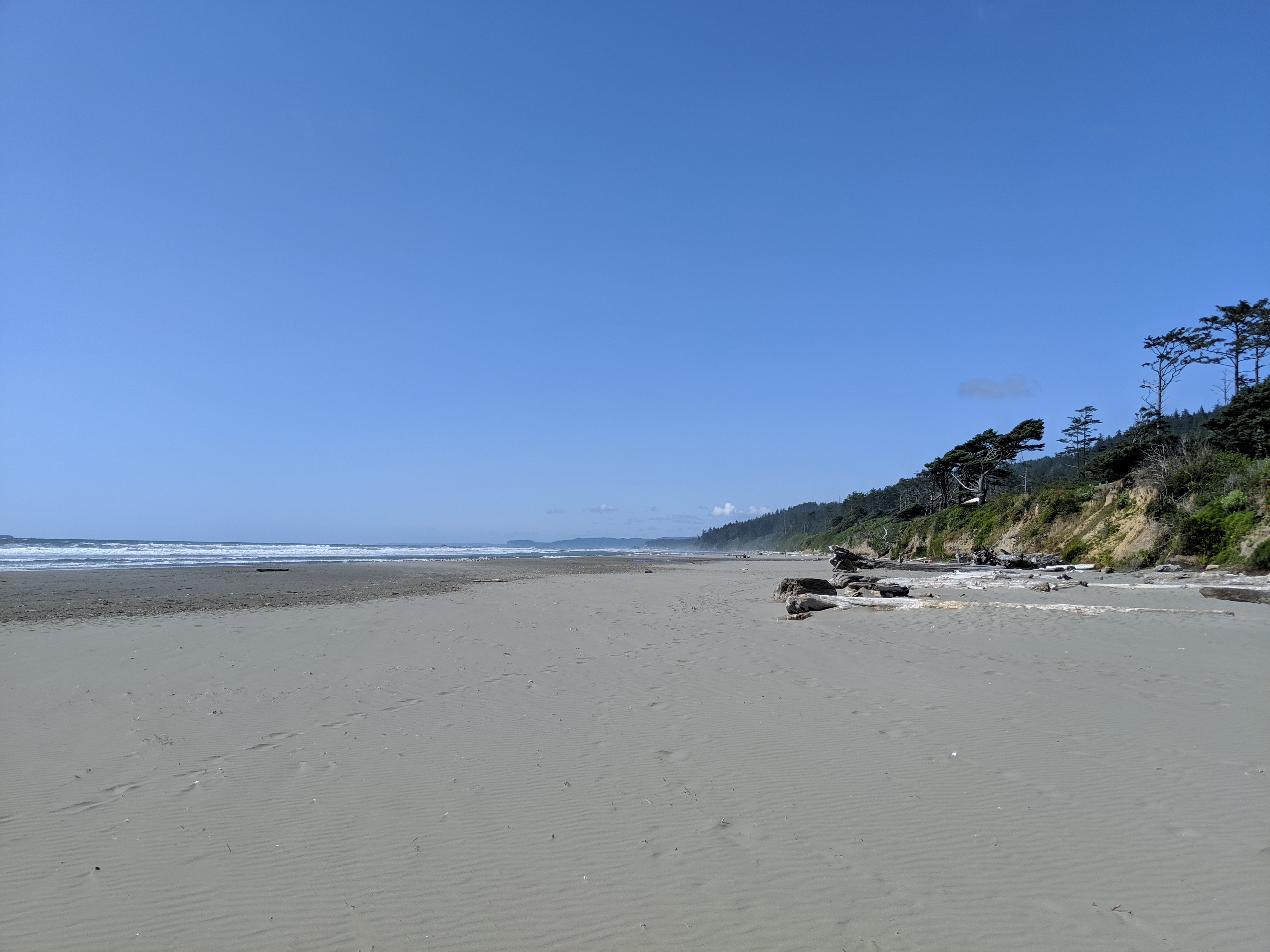 Olympic Peninsula Bike Tour – Day 6: Hoh Rain Forest to Kalaloch Campground