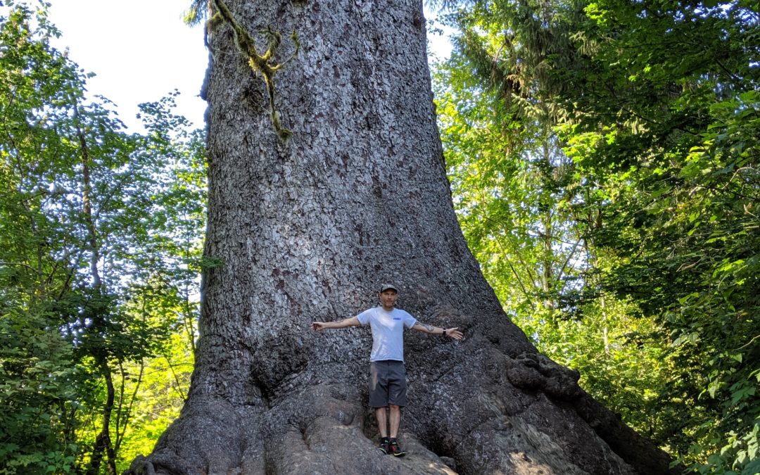 Olympic Peninsula Bike Tour – Day 8: Lake Quinault Lodge to Rain Forest Resort Village